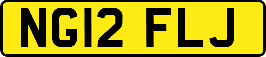 NG12FLJ