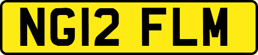 NG12FLM