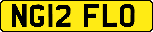 NG12FLO