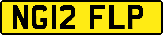 NG12FLP