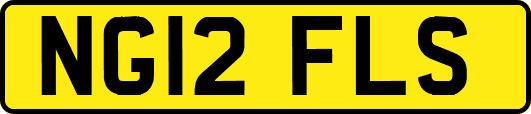 NG12FLS