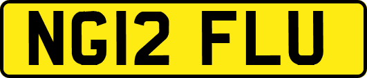 NG12FLU