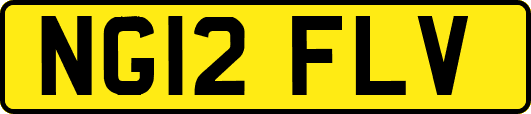 NG12FLV