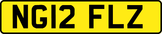 NG12FLZ