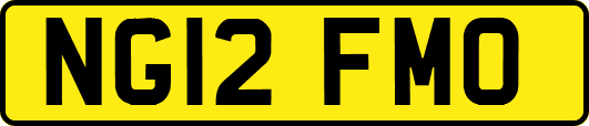 NG12FMO
