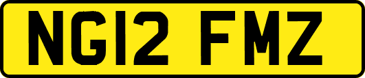 NG12FMZ