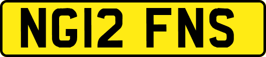 NG12FNS