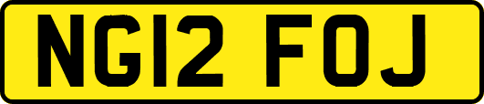 NG12FOJ