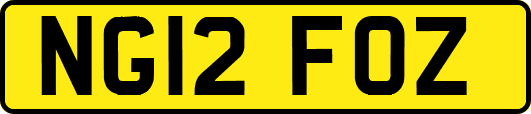 NG12FOZ