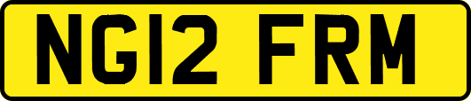 NG12FRM