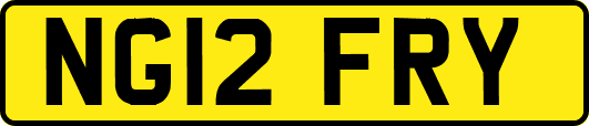 NG12FRY