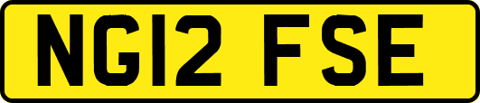 NG12FSE