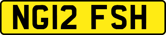 NG12FSH