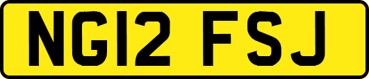 NG12FSJ