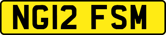 NG12FSM