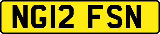 NG12FSN