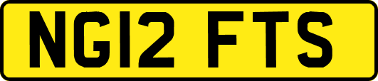 NG12FTS