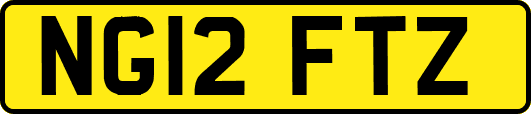 NG12FTZ