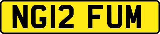 NG12FUM
