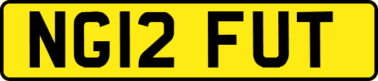 NG12FUT