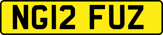 NG12FUZ
