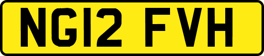 NG12FVH