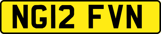 NG12FVN