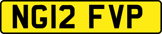 NG12FVP