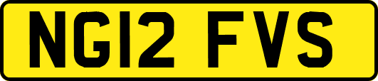 NG12FVS