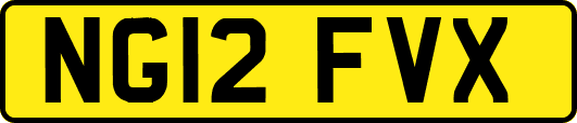 NG12FVX