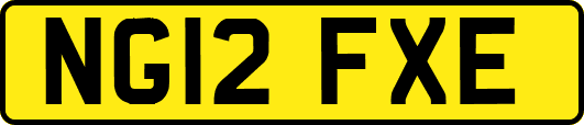 NG12FXE