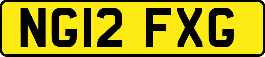NG12FXG