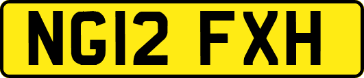 NG12FXH