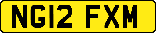 NG12FXM
