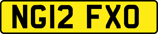 NG12FXO