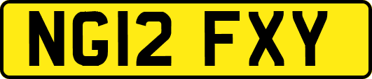 NG12FXY