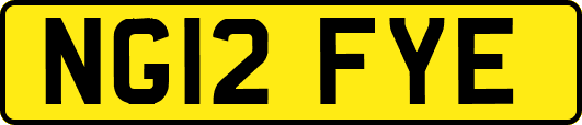 NG12FYE