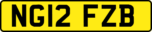 NG12FZB