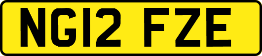 NG12FZE