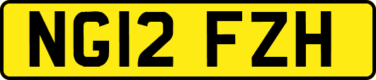 NG12FZH