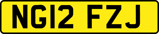 NG12FZJ