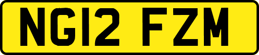NG12FZM