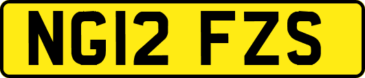 NG12FZS