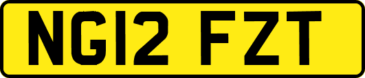 NG12FZT