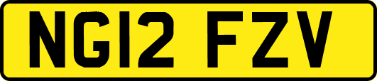 NG12FZV