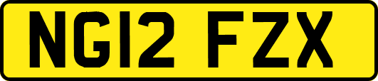 NG12FZX