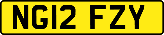 NG12FZY