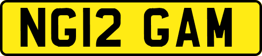 NG12GAM