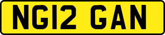 NG12GAN