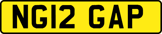 NG12GAP